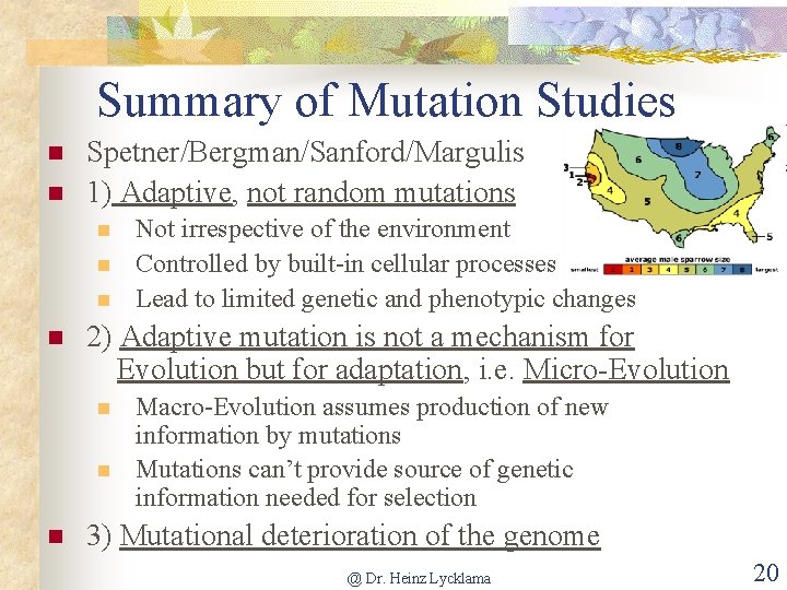 Summary of Mutation Studies n n Spetner/Bergman/Sanford/Margulis 1) Adaptive, not random mutations n n