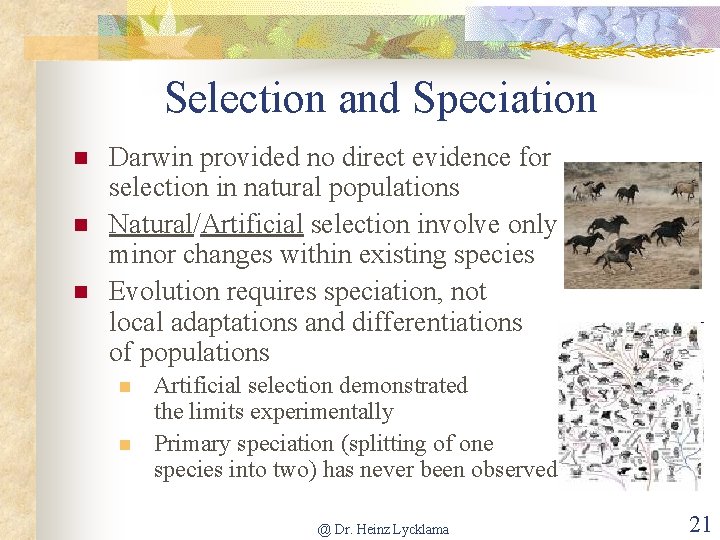 Selection and Speciation n Darwin provided no direct evidence for selection in natural populations