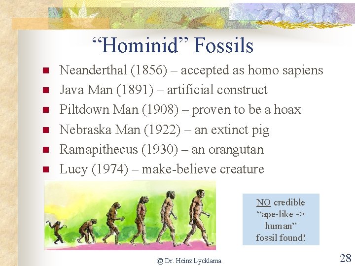 “Hominid” Fossils n n n Neanderthal (1856) – accepted as homo sapiens Java Man