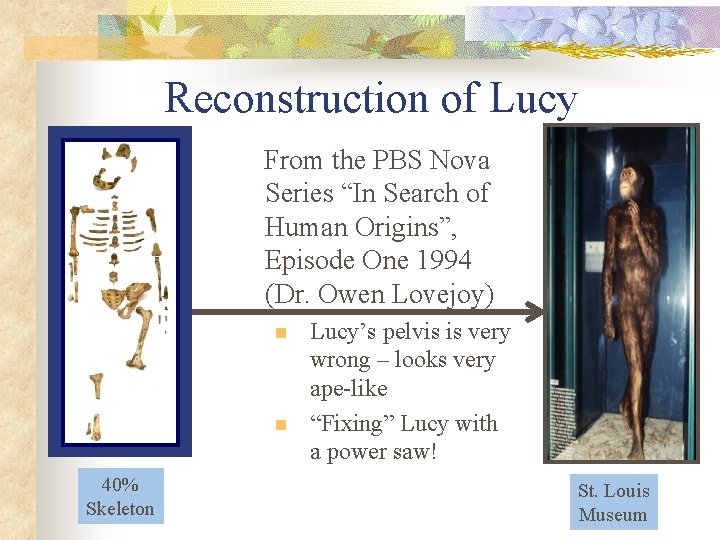 Reconstruction of Lucy From the PBS Nova Series “In Search of Human Origins”, Episode