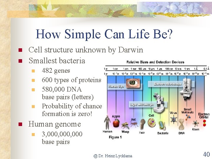 How Simple Can Life Be? n n Cell structure unknown by Darwin Smallest bacteria