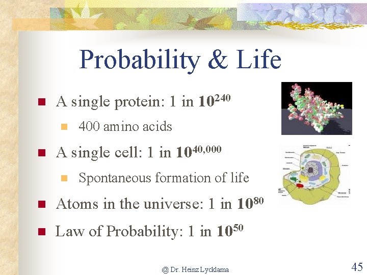 Probability & Life n A single protein: 1 in 10240 n n 400 amino
