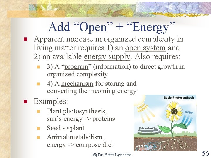 Add “Open” + “Energy” n Apparent increase in organized complexity in living matter requires