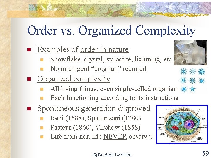 Order vs. Organized Complexity n Examples of order in nature: n n n Organized