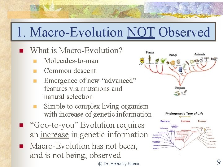 1. Macro-Evolution NOT Observed n What is Macro-Evolution? n n n Molecules-to-man Common descent