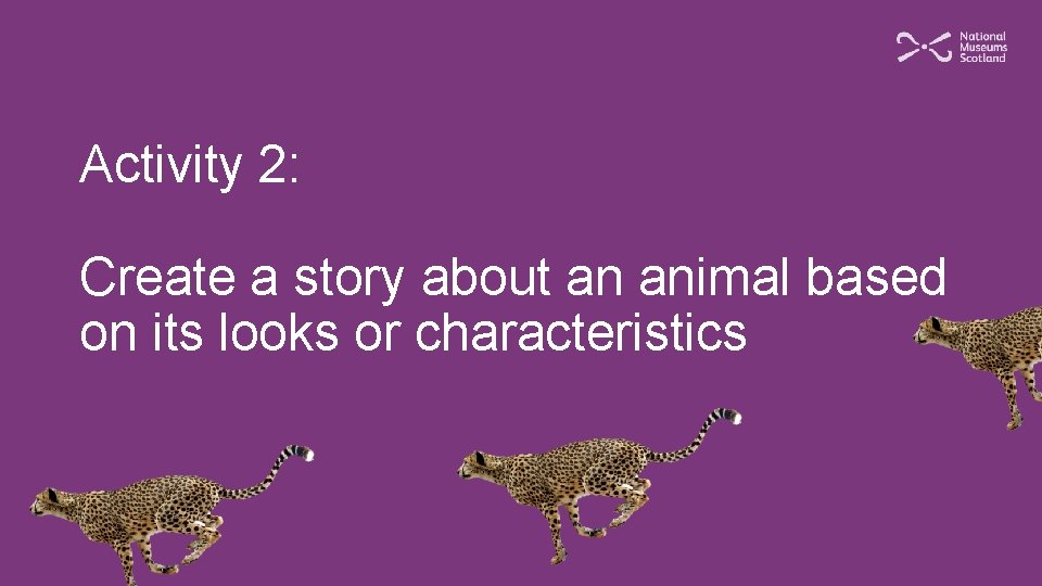 Activity 2: Create a story about an animal based on its looks or characteristics