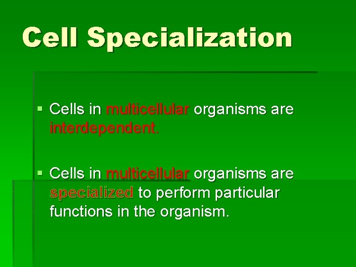 Cell Specialization § Cells in multicellular organisms are interdependent. § Cells in multicellular organisms