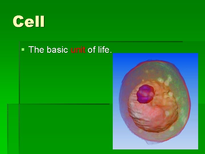 Cell § The basic unit of life. 