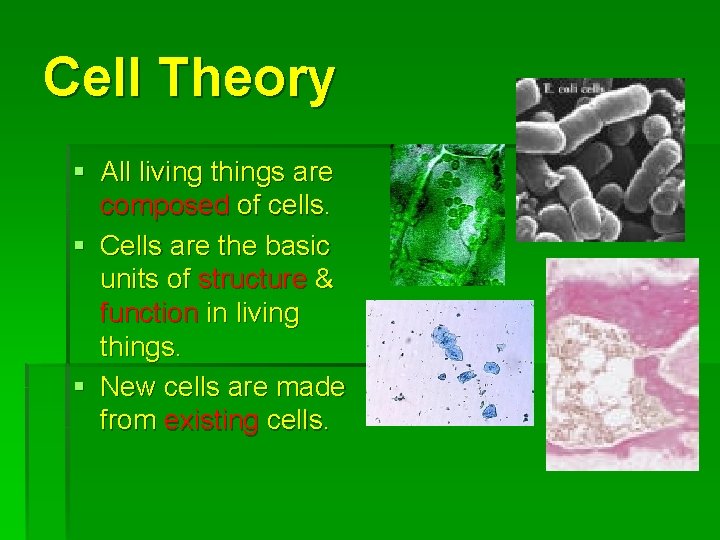 Cell Theory § All living things are composed of cells. § Cells are the