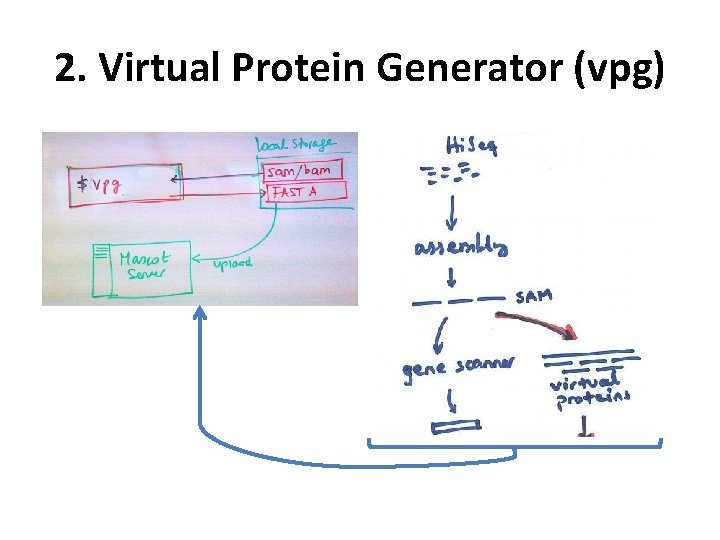 2. Virtual Protein Generator (vpg) 