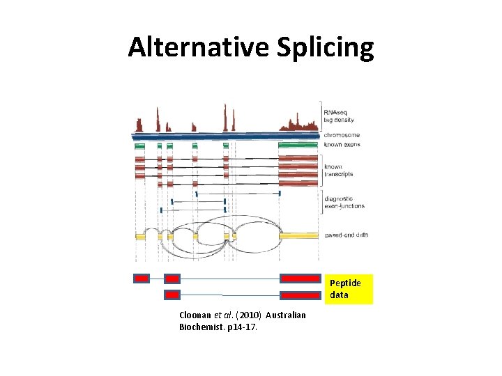 Alternative Splicing Peptide data Cloonan et al. (2010) Australian Biochemist. p 14 -17. 