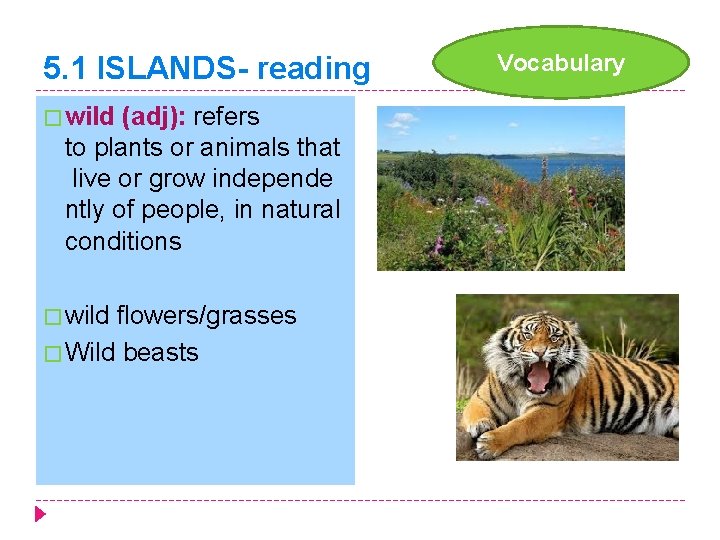 5. 1 ISLANDS- reading � wild (adj): refers to plants or animals that live