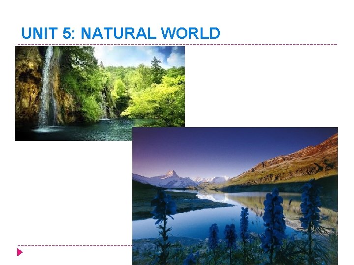 UNIT 5: NATURAL WORLD 