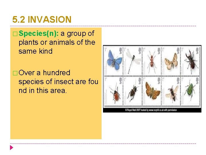 5. 2 INVASION � Species(n): a group of plants or animals of the same
