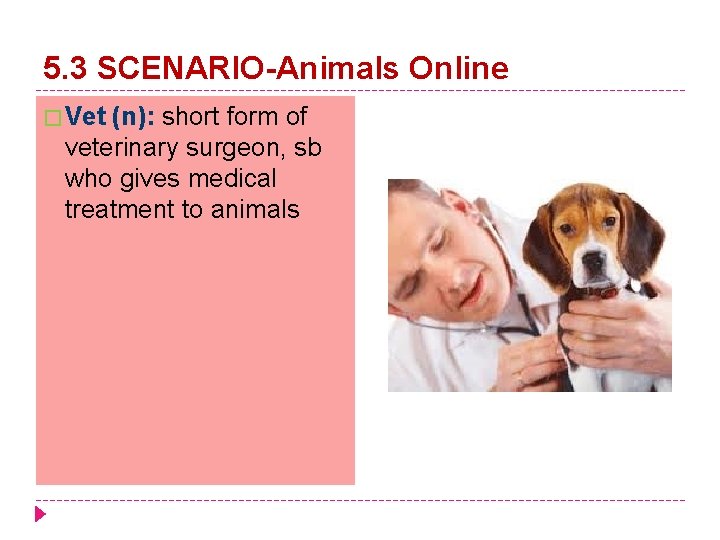 5. 3 SCENARIO-Animals Online � Vet (n): short form of veterinary surgeon, sb who