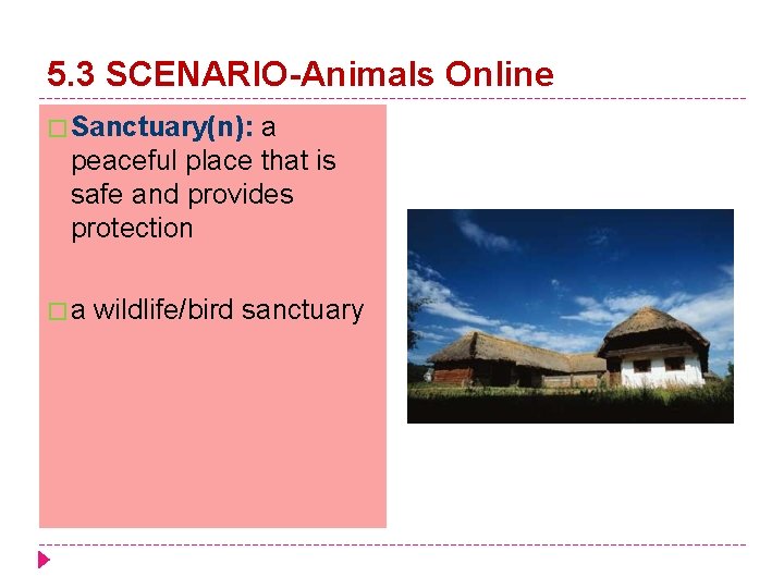 5. 3 SCENARIO-Animals Online � Sanctuary(n): a peaceful place that is safe and provides