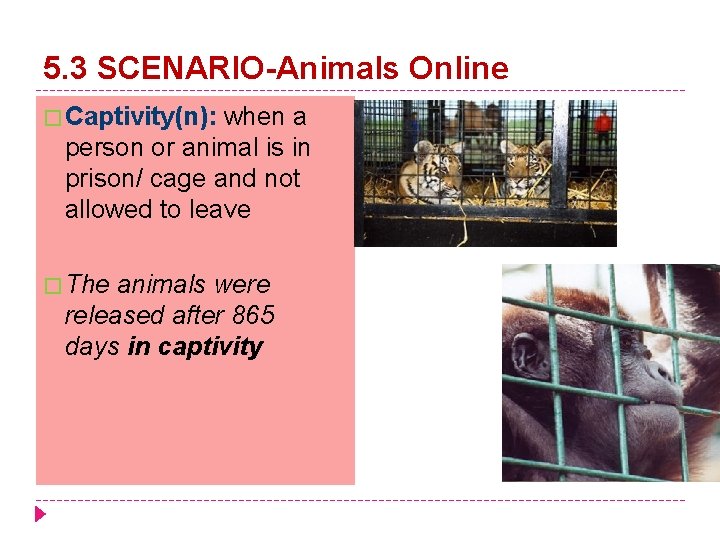 5. 3 SCENARIO-Animals Online � Captivity(n): when a person or animal is in prison/