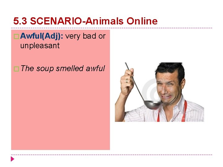 5. 3 SCENARIO-Animals Online � Awful(Adj): very bad or unpleasant � The soup smelled