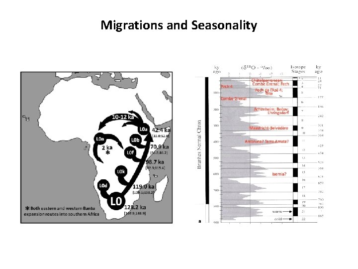 Migrations and Seasonality 