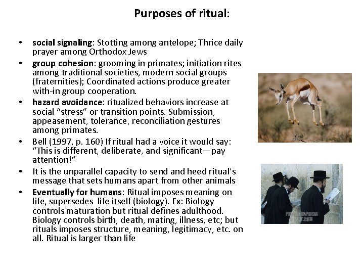 Purposes of ritual: • • • social signaling: Stotting among antelope; Thrice daily prayer
