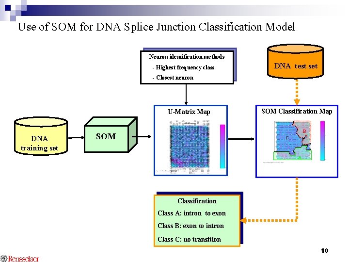Use of SOM for DNA Splice Junction Classification Model Neuron identification methods - Highest