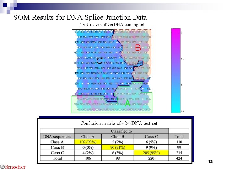 SOM Results for DNA Splice Junction Data The U-matrix of the DNA training set
