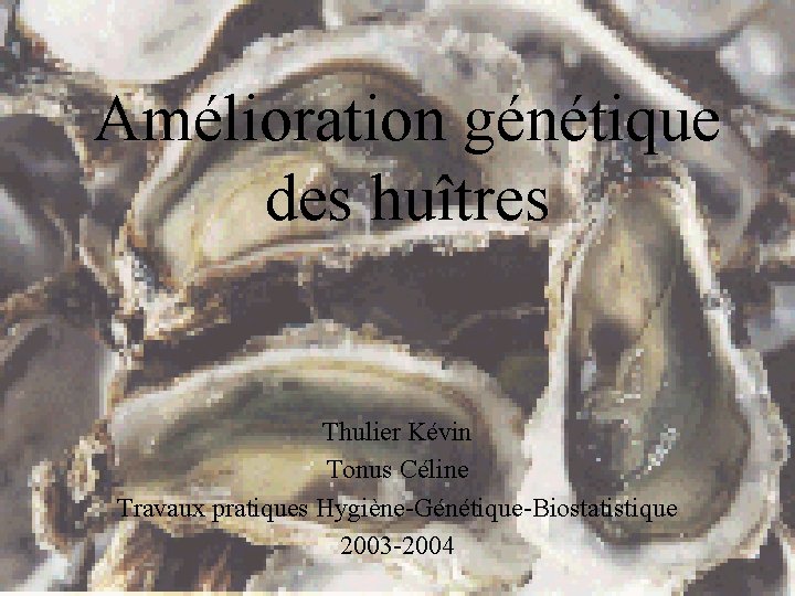 Amélioration génétique des huîtres Thulier Kévin Tonus Céline Travaux pratiques Hygiène-Génétique-Biostatistique 2003 -2004 