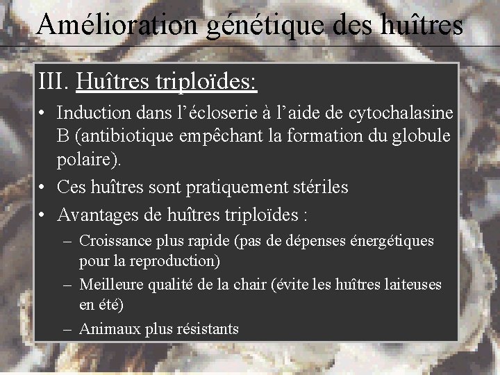 Amélioration génétique des huîtres III. Huîtres triploïdes: • Induction dans l’écloserie à l’aide de