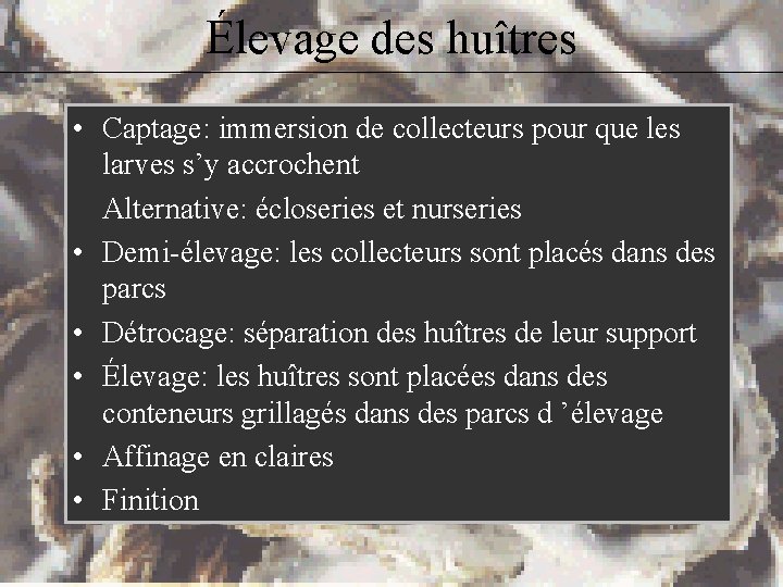 Élevage des huîtres • Captage: immersion de collecteurs pour que les larves s’y accrochent