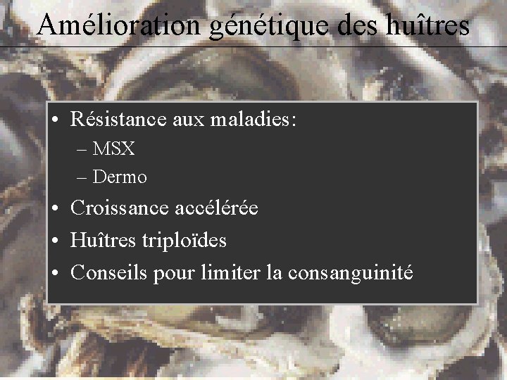 Amélioration génétique des huîtres • Résistance aux maladies: – MSX – Dermo • Croissance