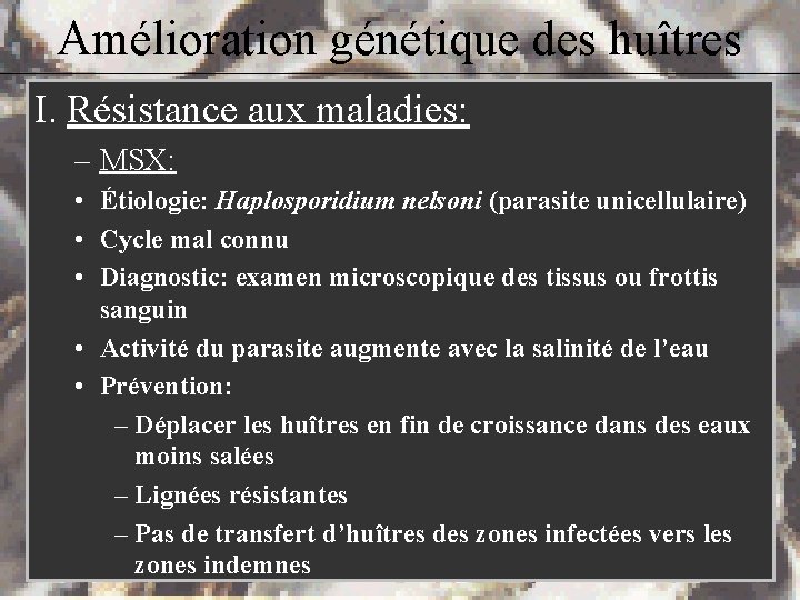 Amélioration génétique des huîtres I. Résistance aux maladies: – MSX: • Étiologie: Haplosporidium nelsoni