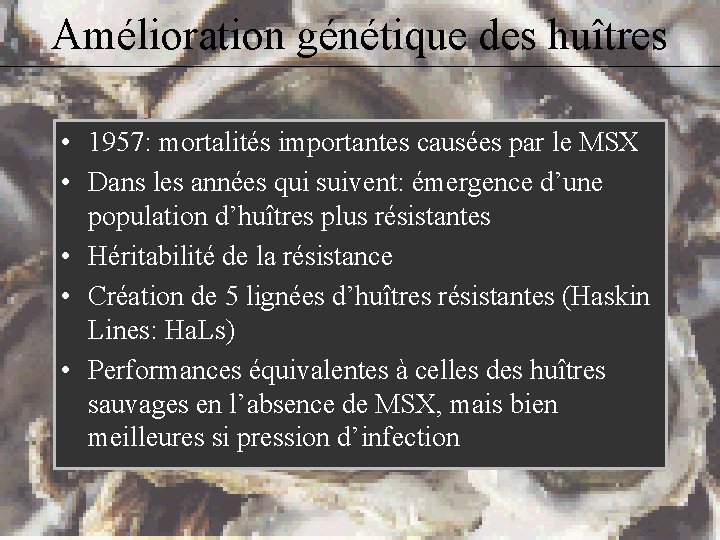 Amélioration génétique des huîtres • 1957: mortalités importantes causées par le MSX • Dans