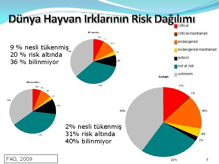 Dünya Hayvan Irklarının Risk Dağılımı critical-maintained 9 % nesli tükenmiş 20 % risk altında