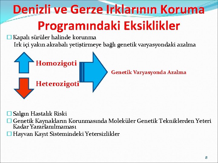 Denizli ve Gerze Irklarının Koruma Programındaki Eksiklikler � Kapalı sürüler halinde korunma Irk içi