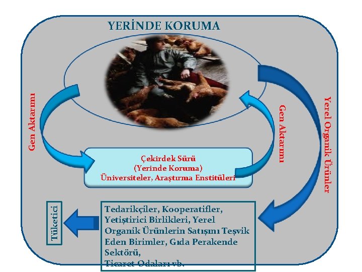 Tüketici Tedarikçiler, Kooperatifler, Yetiştirici Birlikleri, Yerel Organik Ürünlerin Satışını Teşvik Eden Birimler, Gıda Perakende