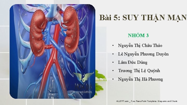 Bài 5: SUY THẬN MẠN NHÓM 3 • Nguyễn Thị Châu Thảo • Lê