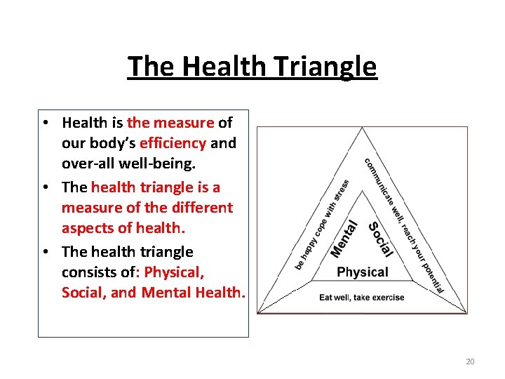 The Health Triangle • Health is the measure of our body’s efficiency and over-all