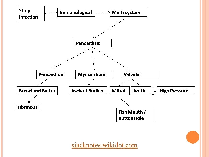 siachnotes. wikidot. com 