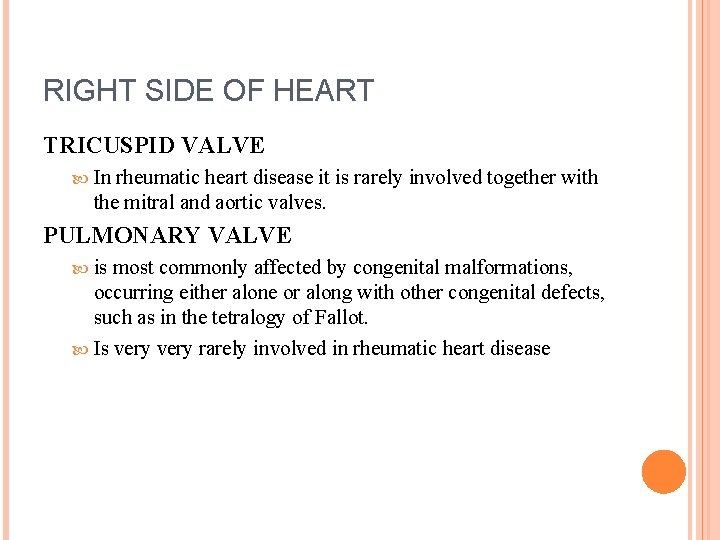 RIGHT SIDE OF HEART TRICUSPID VALVE In rheumatic heart disease it is rarely involved