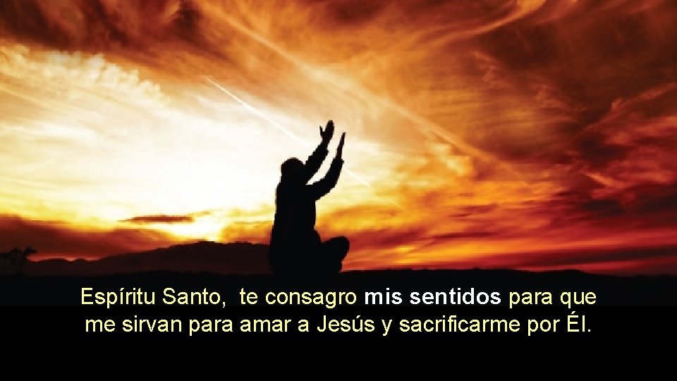 Espíritu Santo, te consagro mis sentidos para que me sirvan para amar a Jesús