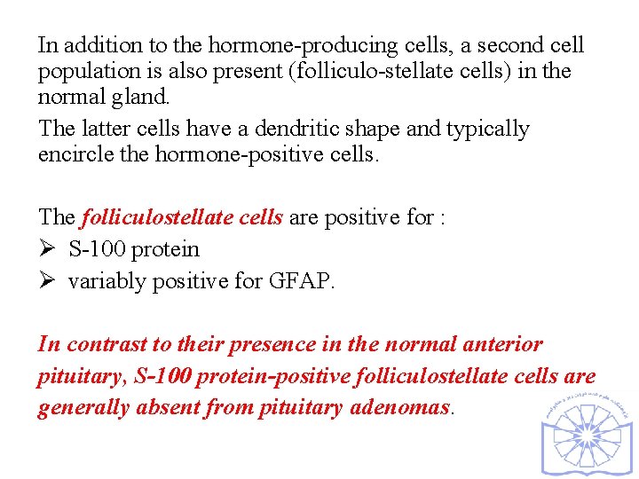 In addition to the hormone-producing cells, a second cell population is also present (folliculo-stellate