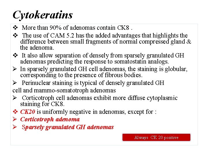 Cytokeratins v More than 90% of adenomas contain CK 8. v The use of
