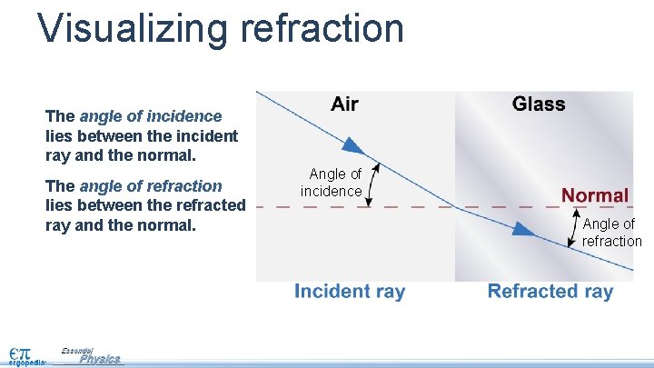 Visualizing refraction The angle of incidence lies between the incident ray and the normal.