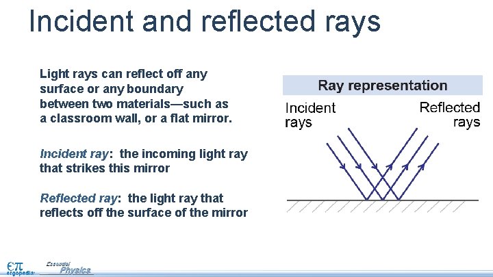 Incident and reflected rays Light rays can reflect off any surface or any boundary