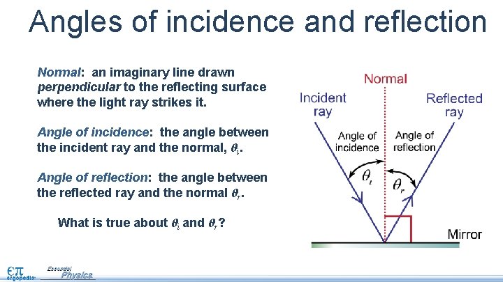 Angles of incidence and reflection Normal: an imaginary line drawn perpendicular to the reflecting