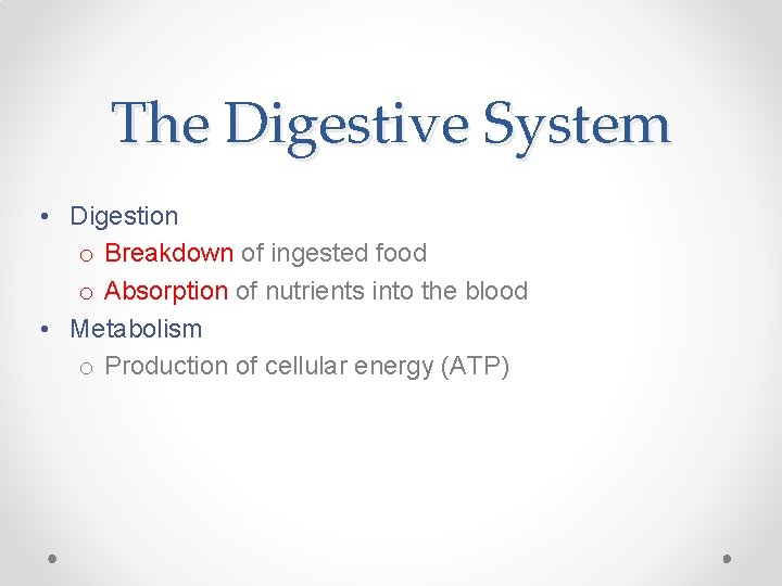 The Digestive System • Digestion o Breakdown of ingested food o Absorption of nutrients