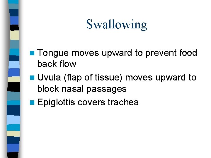 Swallowing n Tongue moves upward to prevent food back flow n Uvula (flap of Swallowing n Tongue moves upward to prevent food back flow n Uvula (flap of