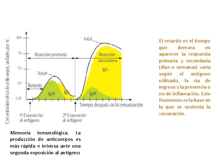 El retardo es el tiempo que demora en aparecer la respuesta primaria y secundaria