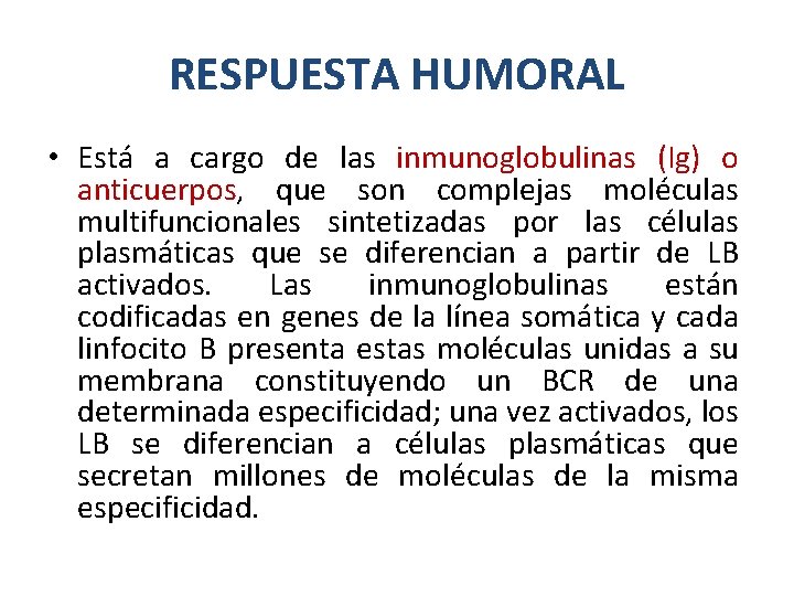 RESPUESTA HUMORAL • Está a cargo de las inmunoglobulinas (Ig) o anticuerpos, que son