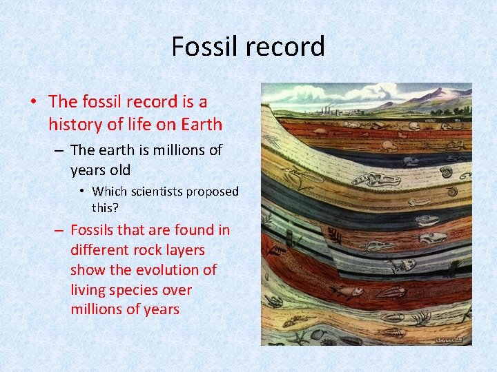 Fossil record • The fossil record is a history of life on Earth –
